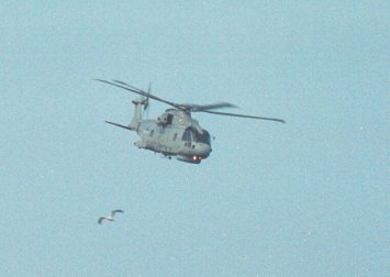Royal Navy Merlin