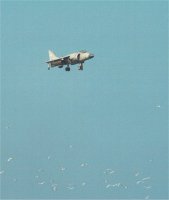 Sea Harrier