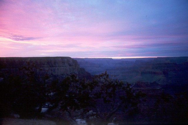 Bright Angel Creek, North Rim and a pink sky