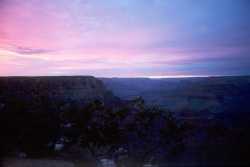 Bright Angel Creek, North Rim and a pink sky