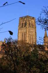 Cathedral from the South East