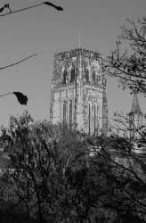 Cathedral from the South East