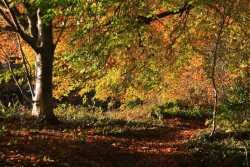 Just below the Chorister's Sports Field