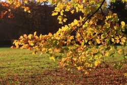 Just below the Chorister's Sports Field