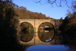 Highlight for Album: Autumn in Durham