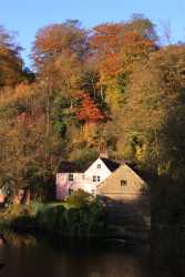 The Pink House