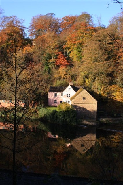 The Pink House