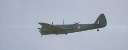 Blenheim