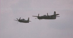 Tigercat and (?) Bearcat
