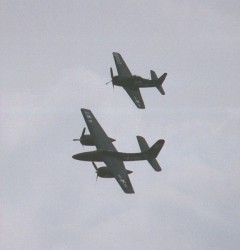 Tigercat and (?) Bearcat