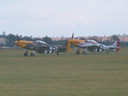 2 Mustangs
