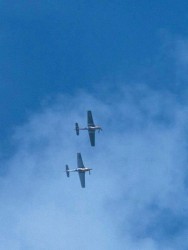 Two Mustangs looping the loop