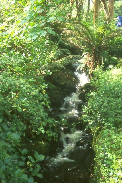 Waterfall at Glanleam