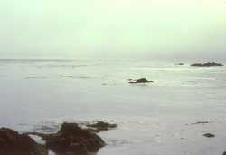 Strange mist near Monterey