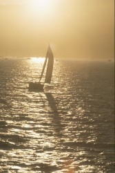 Sailing Boat against the light