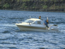 Catching fulmars