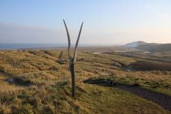 Highlight for Album: Crimdon Beach