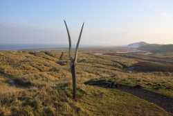 Looking South East towards Hartlepool