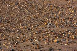 Stones on the beach