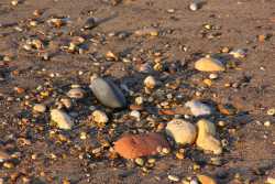 Stones on the beach