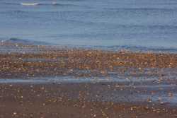 Stones, beach and waves