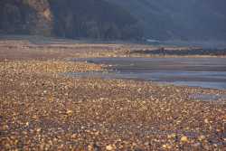 Stones, beach and cliffs, Crimdon