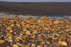 Stones and sand