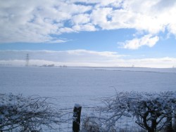 Snowy scene in County Durham