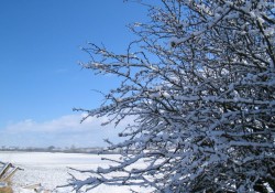 Snowy scene in County Durham