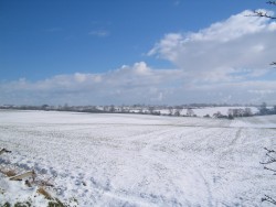 Highlight for Album: A Snowy day in County Durham