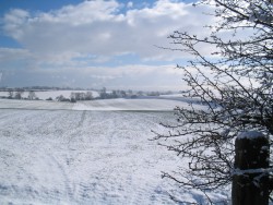 Snowy scene in County Durham