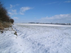 Snowy scene in County Durham