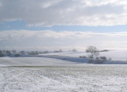 Snowy scene in County Durham