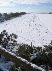 Snowy scene in County Durham